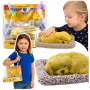 LEAN TOYS Schlafender Labrador-Welpe auf Kissenfigur mit Fell und transparenter Tasche