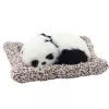LEAN TOYS Schlafender Panda auf Kissen Figur mit Fell und durchsichtiger Tasche