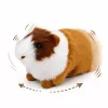 LEAN TOYS Meerschweinchen Realistisches Plüschtier mit weichem Fell Braun 12 cm
