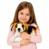 LEAN TOYS Plüsch-Beagle-Hund, Stofftier, Weicher Hund, 25 cm