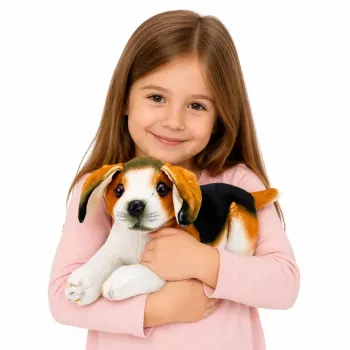 LEAN TOYS Plüsch-Beagle-Hund, Stofftier, Weicher Hund, 25 cm