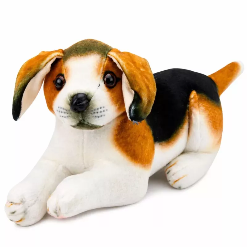 LEAN TOYS Plüsch-Beagle-Hund, Stofftier, Weicher Hund, 25 cm