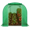 LEAN Gewächshaus für Gemüse, grüne UV-Fenster, 3,5x2x2 m, 7 m²