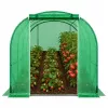 LEAN Folientunnel Garten-Gewächshaus für Gemüse PRO Gestell 25 mm 8 x 3 x 2 m 24 m²