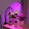 LEAN LED-Lampe zum Züchten und Beleuchten von Pflanzen, Dreifachmodule, Clip