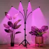 LEAN LED-Lampe für Pflanzenwachstum und Beleuchtung, 4-Panel-Ständer, Fernbedienung
