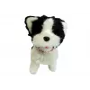 LEAN TOYS Dog on a Leash Interaktiver Husky-Hund