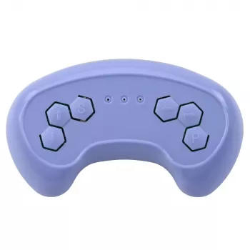 LEAN TOYS 2.4G Fernsteuerung für WMT-666