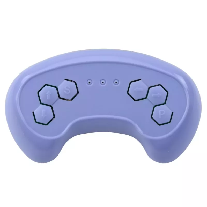 LEAN TOYS 2.4G Fernsteuerung für WMT-666