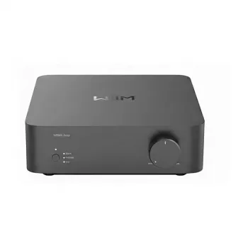 WiiM Vibelink Amp Hi-Fi Verstärker Grau