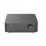 WiiM Vibelink Amp Hi-Fi Verstärker Grau