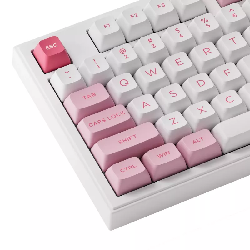 AKKO 5098B Prunus Lannesiana Mechanische Tastatur, 98 Tasten, Triple-Mode, Hot-Swappable, RGB, PBT ASA Keycaps