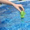 Bestway 58763 Schwimmthermometer für Spa-Pools, Kaktusgrün