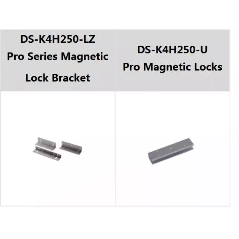 Hikvision DS-K4H250S elektromagnetisches Türschloss