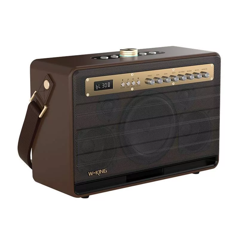 W-KING K6L 120W Tragbarer Bluetooth-Lautsprecher, Braun