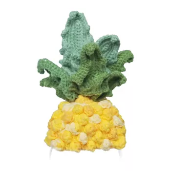 Gestricktes Kostüm für Loona Premium Pineapple