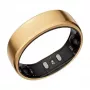 RingConn Gen2 Smart Ring – Rose Gold – Größe 9 – Schlaf- & Gesundheitsüberwachung – SpO2/Herzfrequenz/Stress – 10-12 Tage Akkulaufzeit – Schwarz/Gold (RCA-01-RG-9)