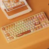 AKKO TAC87 Bun Wonder Tenkeyless Mechanische Tastatur - Multi-Mode RGB Hot-Swappable