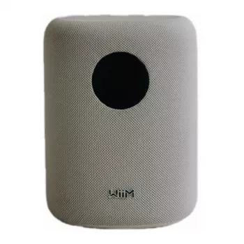 WiiM LPWISNDW Sound Smart Speaker, Weiß