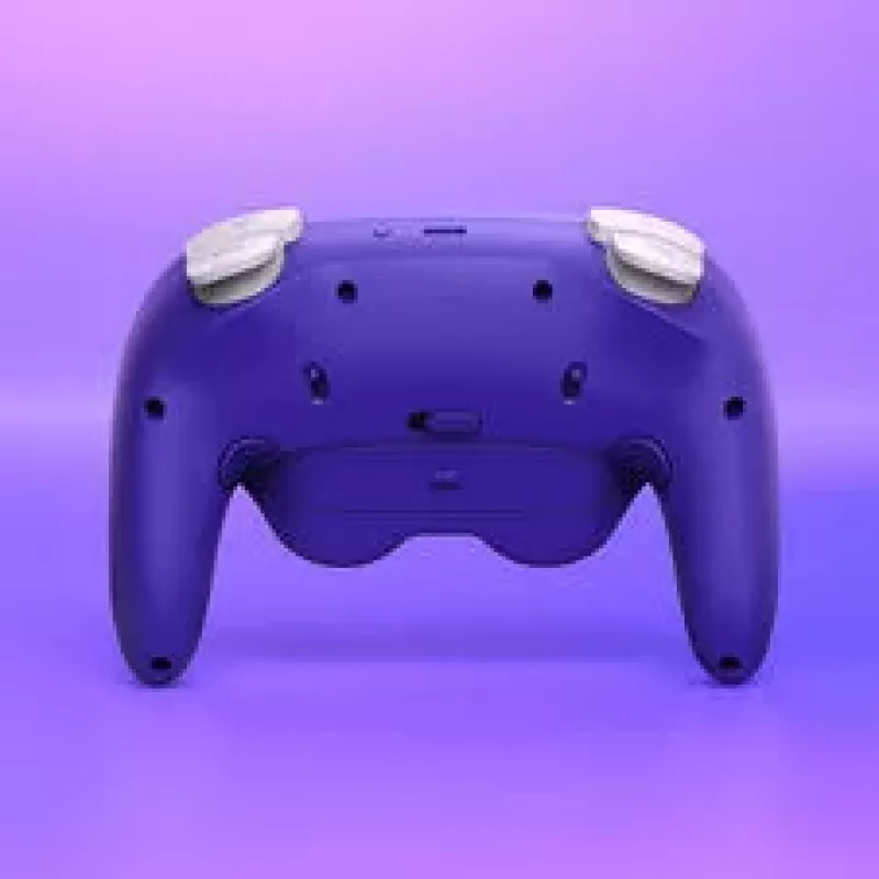 NYXI Warrior Switch 1 & 2 Controller - Lila