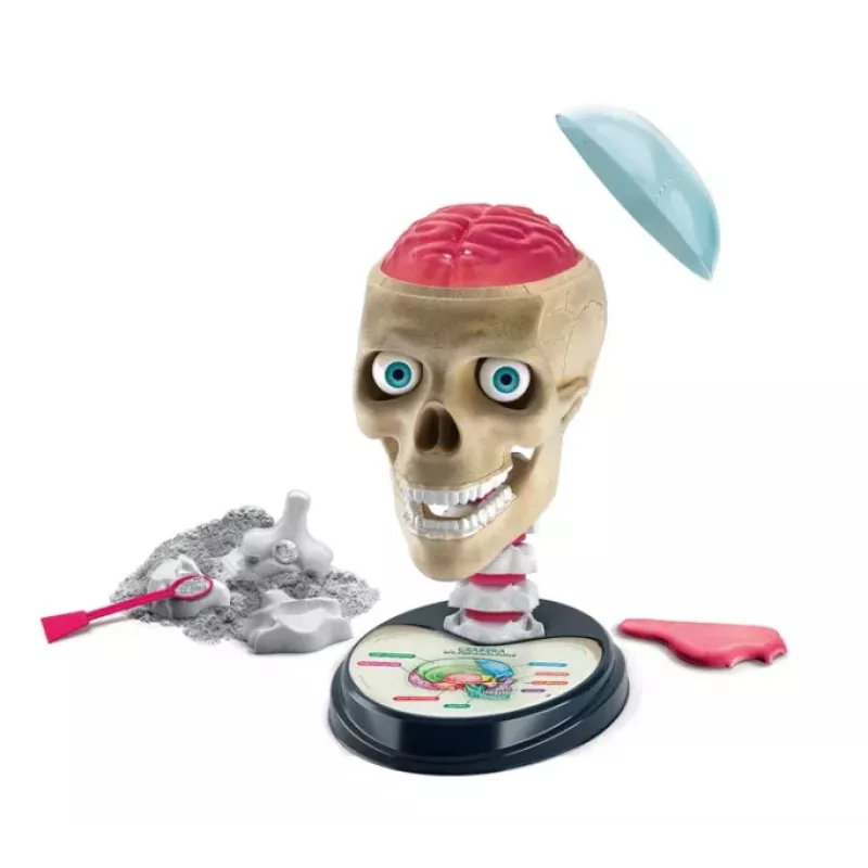 Clementoni Naukowa Zabawa Crazy Anatomy Bausatz - Polnische Sprache - 50697