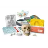 Clementoni Naukowa Zabawa Crazy Anatomy Bausatz - Polnische Sprache - 50697