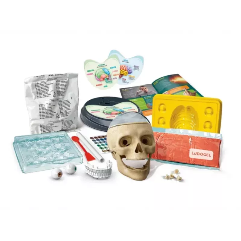 Clementoni Naukowa Zabawa Crazy Anatomy Bausatz - Polnische Sprache - 50697