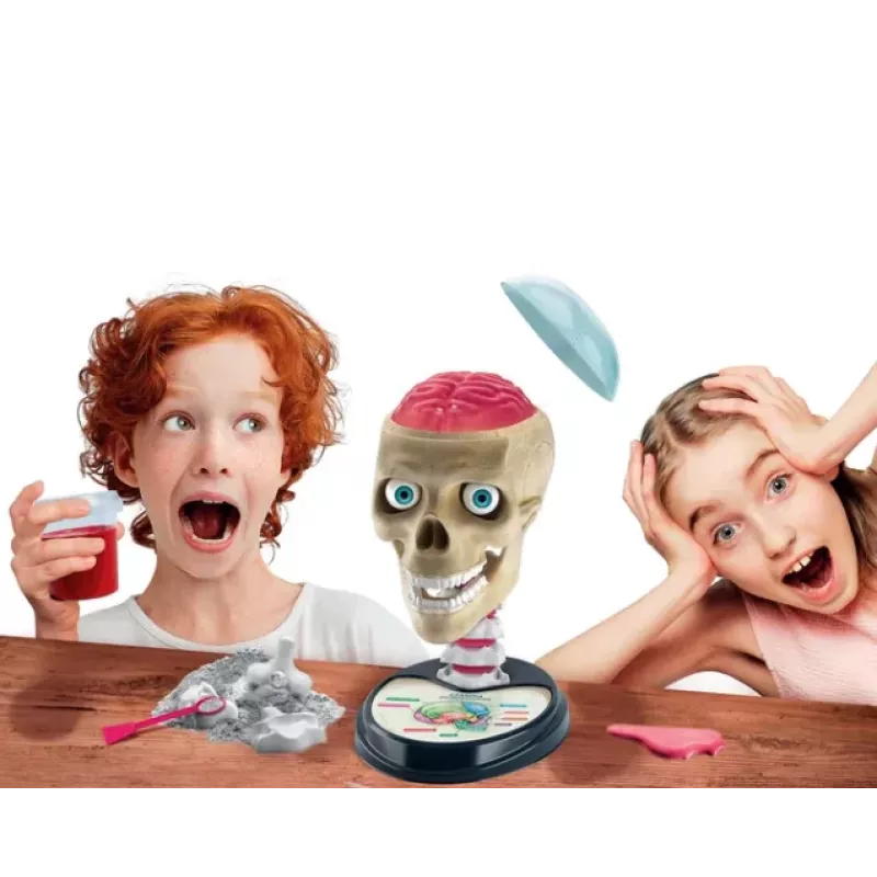 Clementoni Naukowa Zabawa Crazy Anatomy Bausatz - Polnische Sprache - 50697