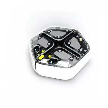 iRobot MINT Coding Robot Root Pro für Kindergarten bis Universität (RT001)