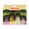 KAISER ELEKTRO Sylvanian Families Igel-Familie von Stachel - Sammelbare geflockte Tierfiguren Spielset, 4 Figuren mit Kamm, ab 3 Jahren