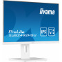 Iiyama ProLite XUB2492HSU-W5 23,8 Zoll Full HD IPS Monitor mit USB-Hub und höhenverstellbarem Standfuß