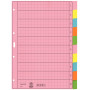 LEITZ A4 10-teilige Blanko-Registerblätter, mehrfarbig, 130 g/m², verstärkte Lochung 4340-00-00