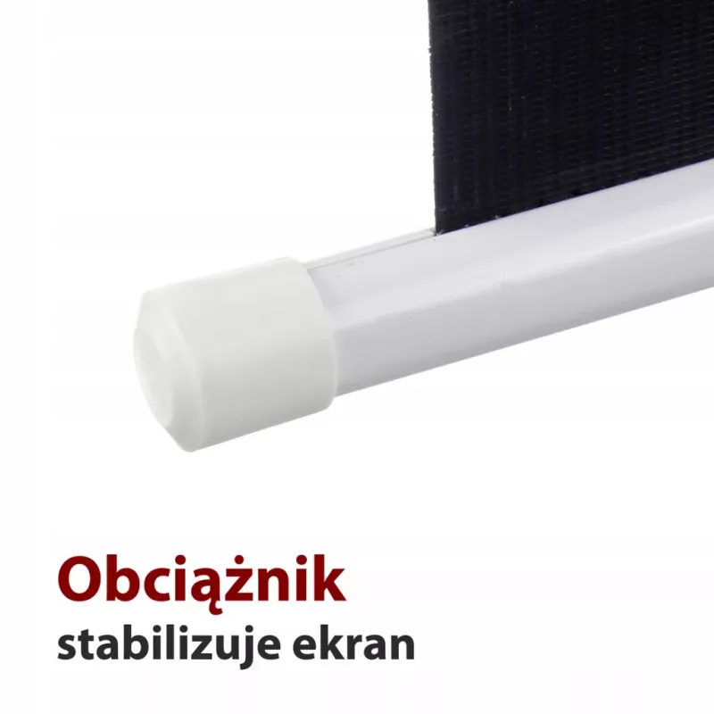 Elektrische Leinwand 16:9 106 mit Fernbedienung 234x131 cm FS-106 16:9