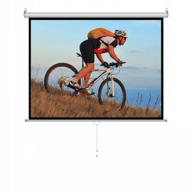 Manuelle Leinwand 4:3 halbautomatisch 120 244x183cm MS-120 4:3