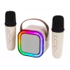Karaoke-Lautsprecher, KARAOKE RGB Bluetooth-Lautsprecher, 30W