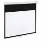 Elektrische Leinwand 100 16:9 120 265x150 mattweiß mit Fernbedienung