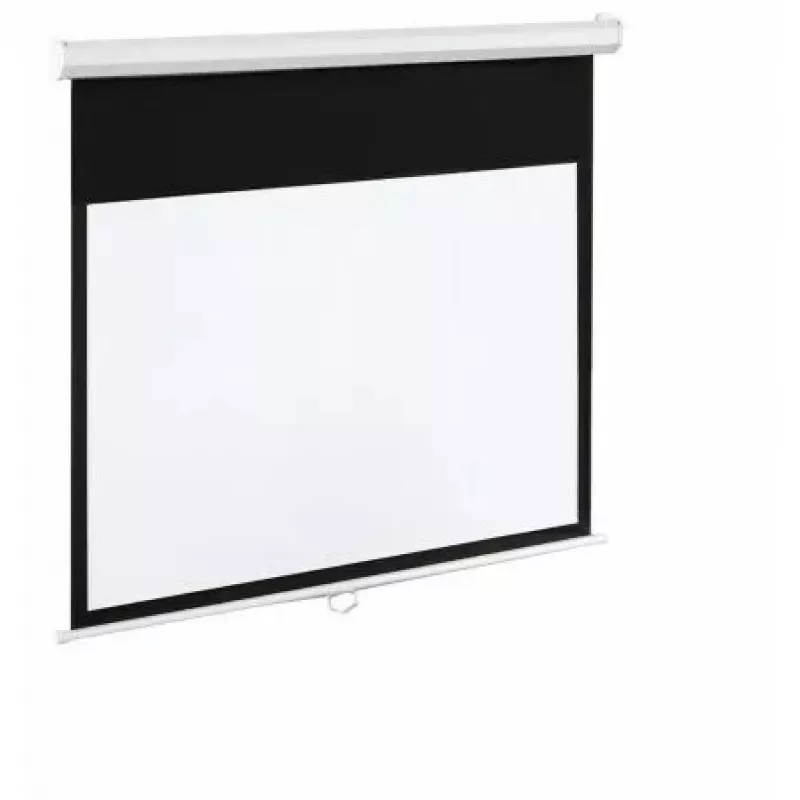 Elektrische Leinwand 100 16:9 120 265x150 mattweiß mit Fernbedienung