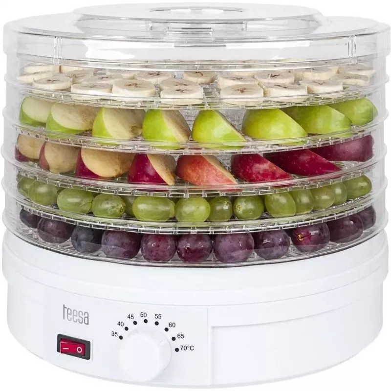 Dörrautomat für Pilze, Gemüse, Obst