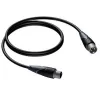 XLR-Stecker auf XLR-Buchse Kabel Procab 10 m — symmetrische Audioverbindung, Procab 1KPCL114