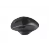 Natec Genesis Schwarzbird 2 Maus RF Wireless Optisch 1600 DPI