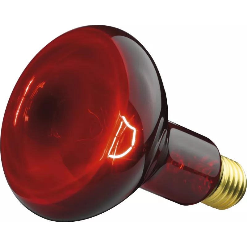 Beurer IL 11 Infrarotlampe 100 W