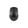 Kabellose optische Maus TRACER TRAMYS46729, RF 10 m, 1600 DPI, 6 Tasten, rechtshändig, Nano-Empfänger, batteriebetrieben