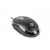 Maus NATEC Vireo 2 USB Typ-A Optisch
