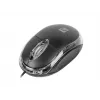 Maus NATEC Vireo 2 USB Typ-A Optisch