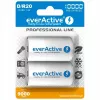 Wiederaufladbare Batterie everActive EVHRL20-10000 D NiMH 1,2 V 2 Stück