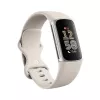 Fitbit GA05185-EU Produkt Silber