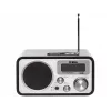 Tragbares Radio ELTRA Kormoran Analog FM LW LCD Schwarz Silber