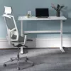 Manuell höhenverstellbarer Schreibtisch Ergo Office, max. 40 kg, max. Höhe 117 cm, mit Tischplatte für Arbeiten im Stehen und Sitzen, ER-401 W