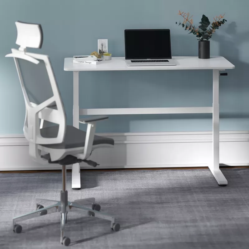 Manuell höhenverstellbarer Schreibtisch Ergo Office, max. 40 kg, max. Höhe 117 cm, mit Tischplatte für Arbeiten im Stehen und Sitzen, ER-401 W