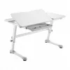 Ergo Office Kinder ergonomisch höhenverstellbarer Schreibtisch, grau, max. 100 kg, ER-417 2cz